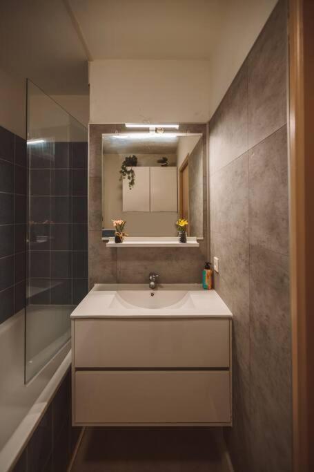 Le Cocon Manceau Apartment Le Mans Bagian luar foto