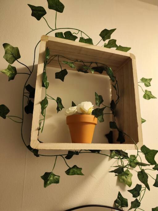 Le Cocon Manceau Apartment Le Mans Bagian luar foto