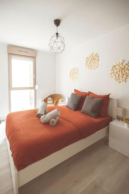 Le Cocon Manceau Apartment Le Mans Bagian luar foto